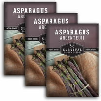 3 Packs Argenteuil Purple Asparagus Seeds - Non-GMO Heirloom Perennial Full Sun Vegetable