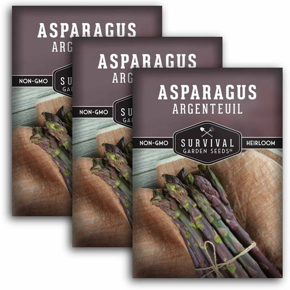 3 Packs Argenteuil Purple Asparagus Seeds - Non-GMO Heirloom Perennial Full Sun Vegetable