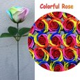 thumbnail image 3 of 25 Jabones de Baño con Flores de Rosas Multicolores, Jabón de Rosas en Caja de Regalo, Regalo para Aniversario/Cumpleaños/Boda/Día de San Valentín/Día de la Madre/Orgullo, 3 of 6