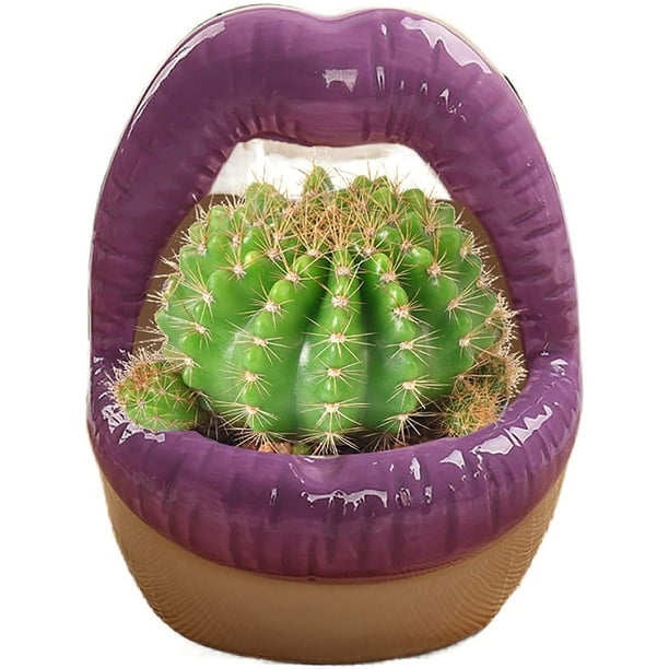 Porte-capsules cactus - Super idées cadeaux
