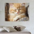thumbnail image 4 of GOSMITH Sleeping Kitten Wall Tapestry Wall Hanging Tapestry Daily Decorative Tapestry for Living Room Bedroom Dorm, Wall Art, Large 40x30 Inch, 4 of 7