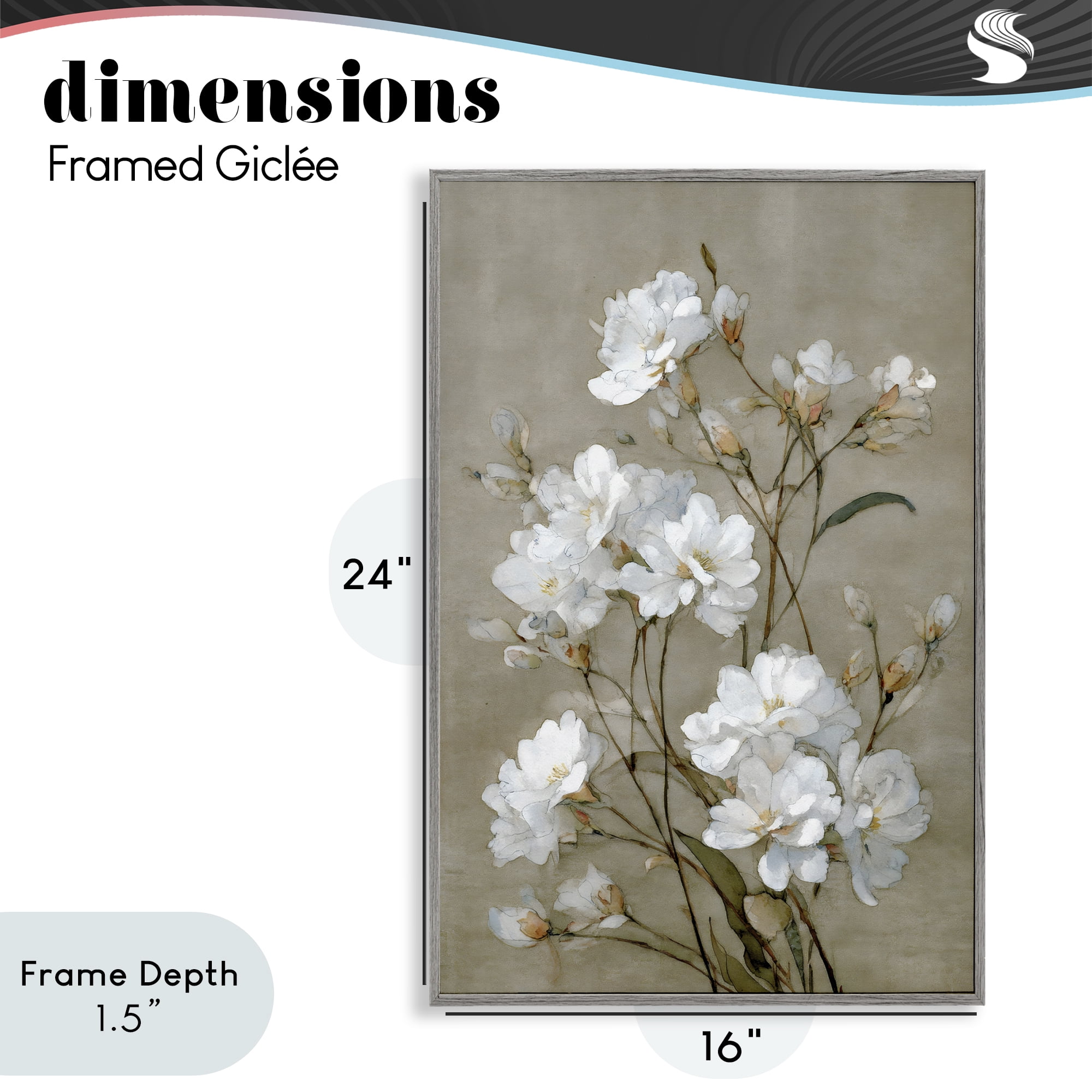 Stupell Industries Aged White Botanical Study Gray Framed Giclee Art, design by Petal Prints Design