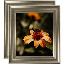 ArtToFrames 24" x 36" Silver Picture Frame, 24x36 inch Silver MDF Poster Frame (WOM-4445), 2 Pack
