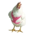 thumbnail image 2 of Valhoma Pet Chicken Harness and/or Leash Bright Fun Colors Pet Duck Goose, 2 of 8