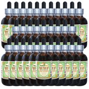 Hou Tou Gu (Hericium Erinaceus) Glycerite, Dried Mushroom Alcohol-FREE Liquid Extract (Herbal Terra, USA) 30x2 oz