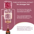 thumbnail image 3 of Wow Skin Science Onion Conditioner With Red Onion Seed Oil Extract, Black Seed Oil & Pro-Vitamin B5 - No Parabens, Mineral Oil, Silicones, Color & Peg - 250 Ml, 3 of 5