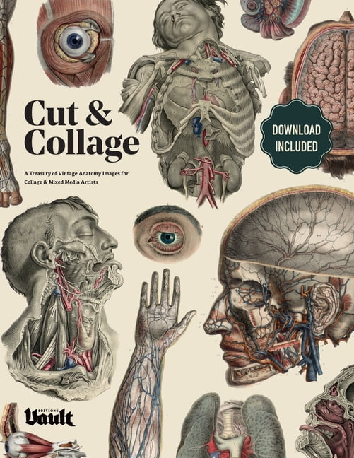 Cut and Collage A Treasury of Vintage Anatomy Images for Collage and Mixed  Media Artists (Paperback) 