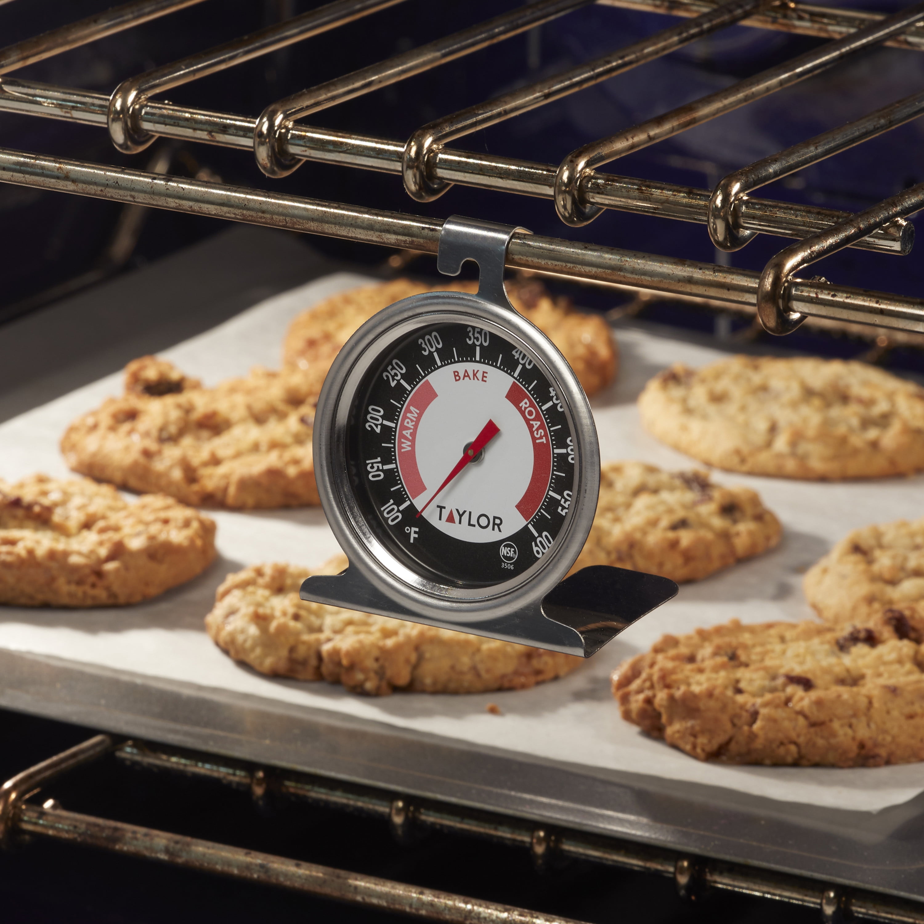 Taylor Ambient Oven/Grill Temperature Thermometer