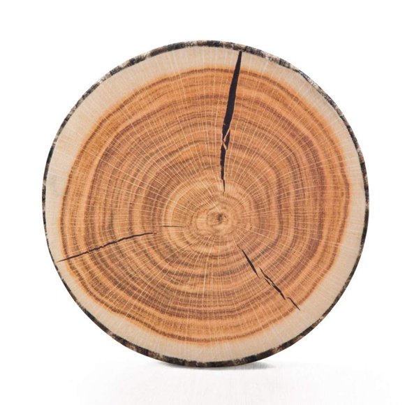 HYSEAS Decorative Round Throw Pillow 3D Digital Print Comfortable Kids Funny Cute Wood Log Pillow Circle Seating Floor Cushion for Home Couch Sofa Bedroom Living Room Decor Stump