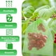 thumbnail image 2 of 50x Fruit Protection Net Bags With Drawstring Garden Plant Protector Mesh Cover, 2 of 5