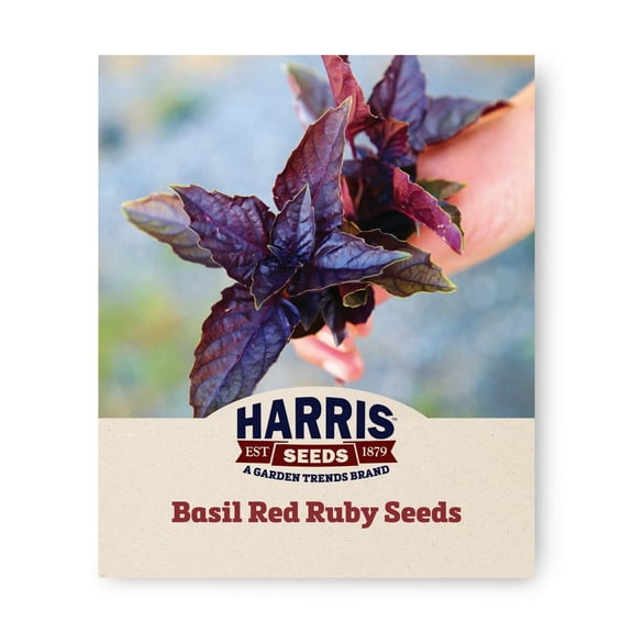 Harris Seeds - Basil Seeds - Red Ruby Variety - Large Leaves - 100 Seeds