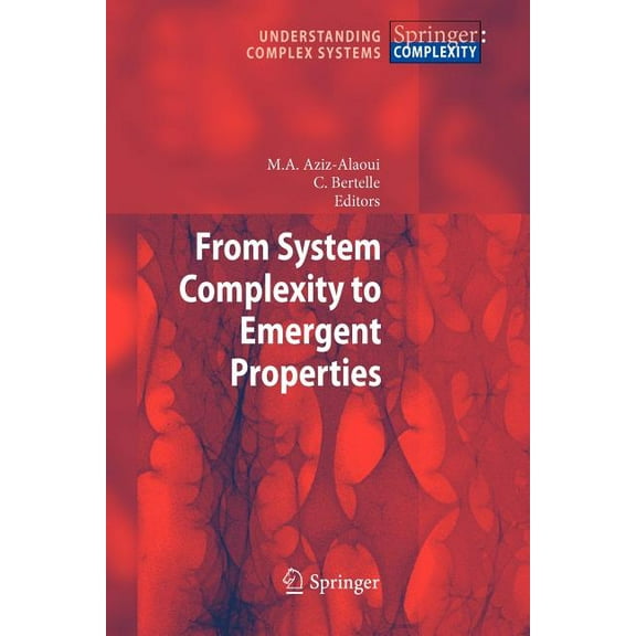 Understanding Complex Systems From System Complexity to Emergent Properties, (Paperback)