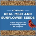 thumbnail image 2 of Wild Bird Food Pennington 10.2kg Critter-Proof Bucket, 2 of 9