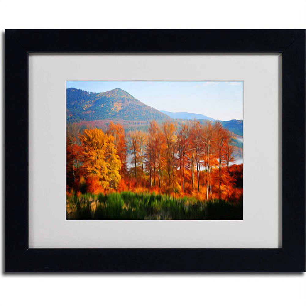 Trademark Fine Art "Swing" Canvas Art by Philippe Sainte-Laudy, Black Frame