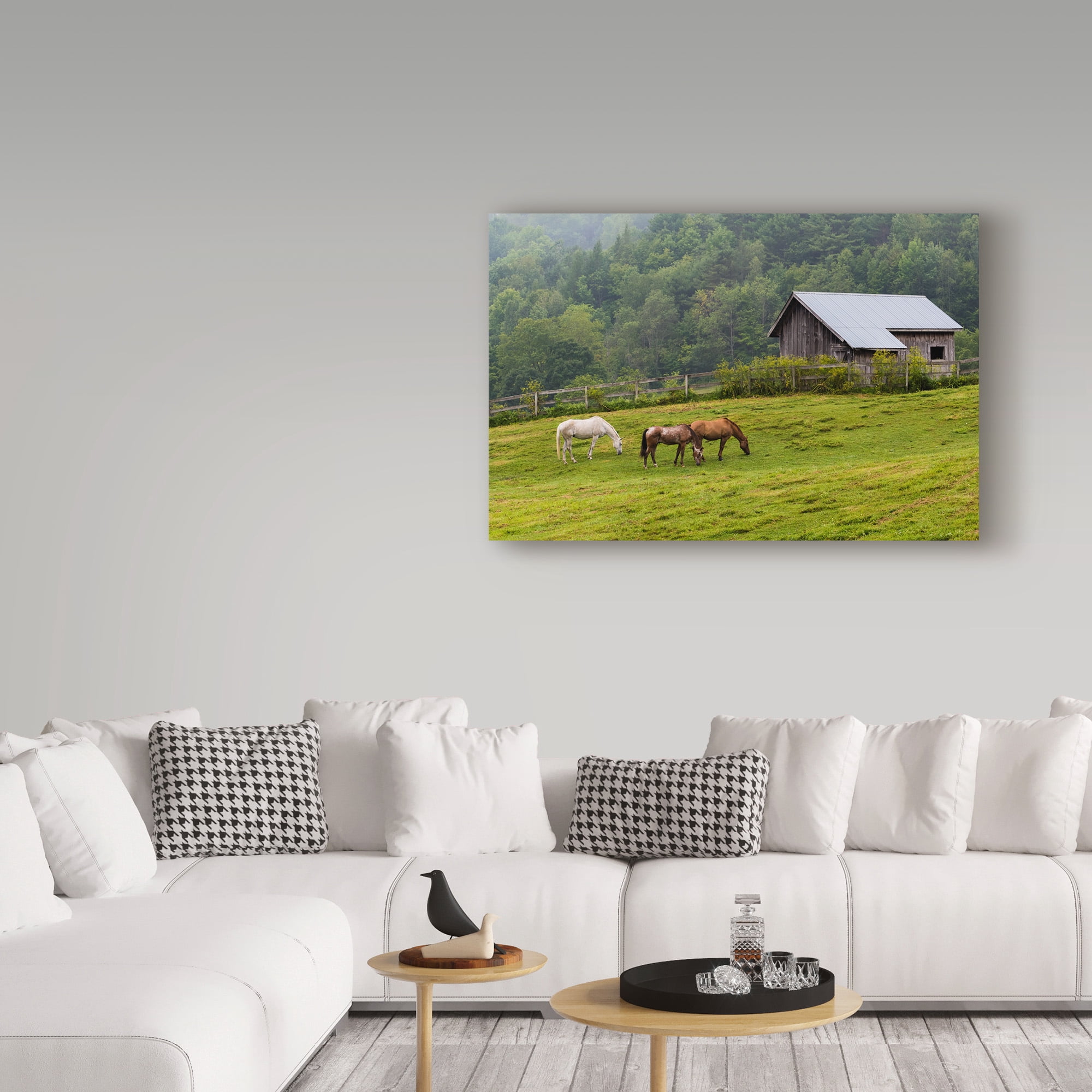 Trademark Fine Art 'Horse Farm Green' Canvas Art by Brenda Petrella Photography Llc