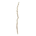 thumbnail image 1 of ElkGroup International Golden Washed Twisted Stick, 1 of 1