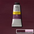 thumbnail image 2 of Pintura Acrílica Galería 60ml GRIS #465 Winsor & Newton negro SIN TAMAÑO, 2 of 2