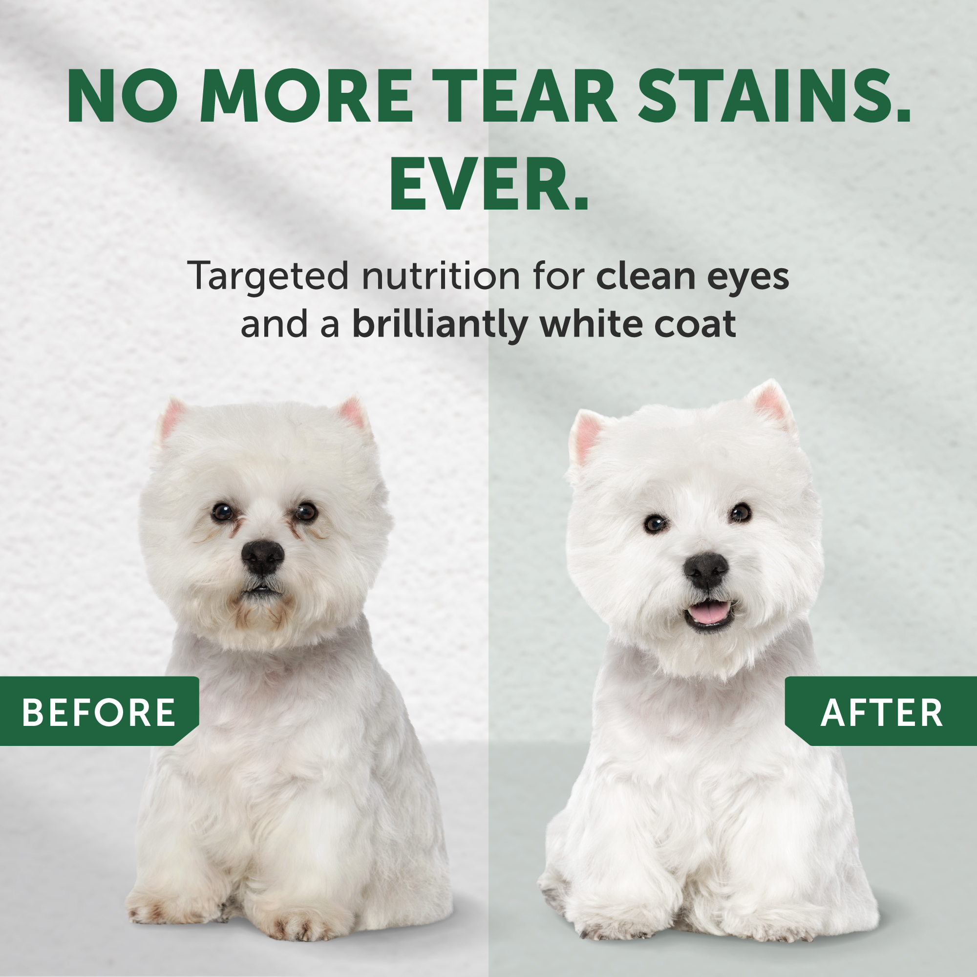 Nature's Protection Superior Care White Fish Small Breed Dog Food photo 7