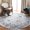 Light Grey/Dark Grey, variant on SAFAVIEH Harbor Avalon Oriental Area Rug, Light Grey/Dark Grey, 6'7" x 6'7" Round