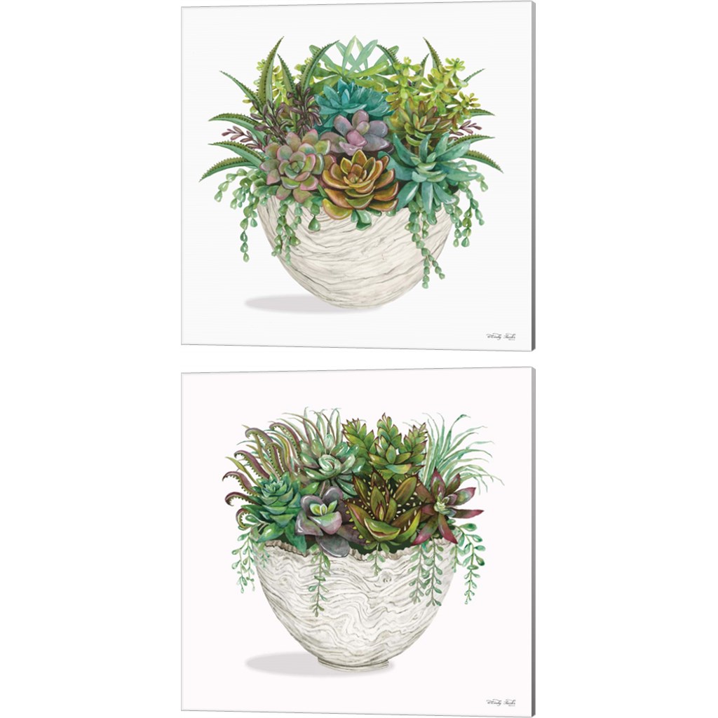 Great Art Now Succulent on White by Cindy Jacobs 2 Piece Canvas Art Set ...