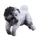 thumbnail image 2 of Decoración de adornos artesanales Sunnimix micro paisaje perro, 2 of 8