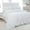 White, variant on Move Over White Ruffle Duvet Cover Set Twin Size 2 Layer Ruffled Pattern Soft Microfiber White Ruffle Bedding Set