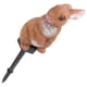 thumbnail image 2 of 1Pc Solar-powered Art Lamp Resin Rabbit Shaped Yard Light Garden Landscape Lamp, 2 of 4