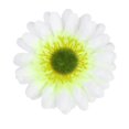 thumbnail image 1 of 10 piezas 3,15 "cabezas  de Margarita de gerbera artificiales para fiesta de boda DIY-púrpura claro Yotijar none, 1 of 10