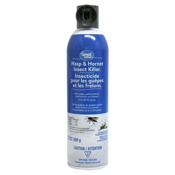Wasp & Hornet Insect Killer, 400g
