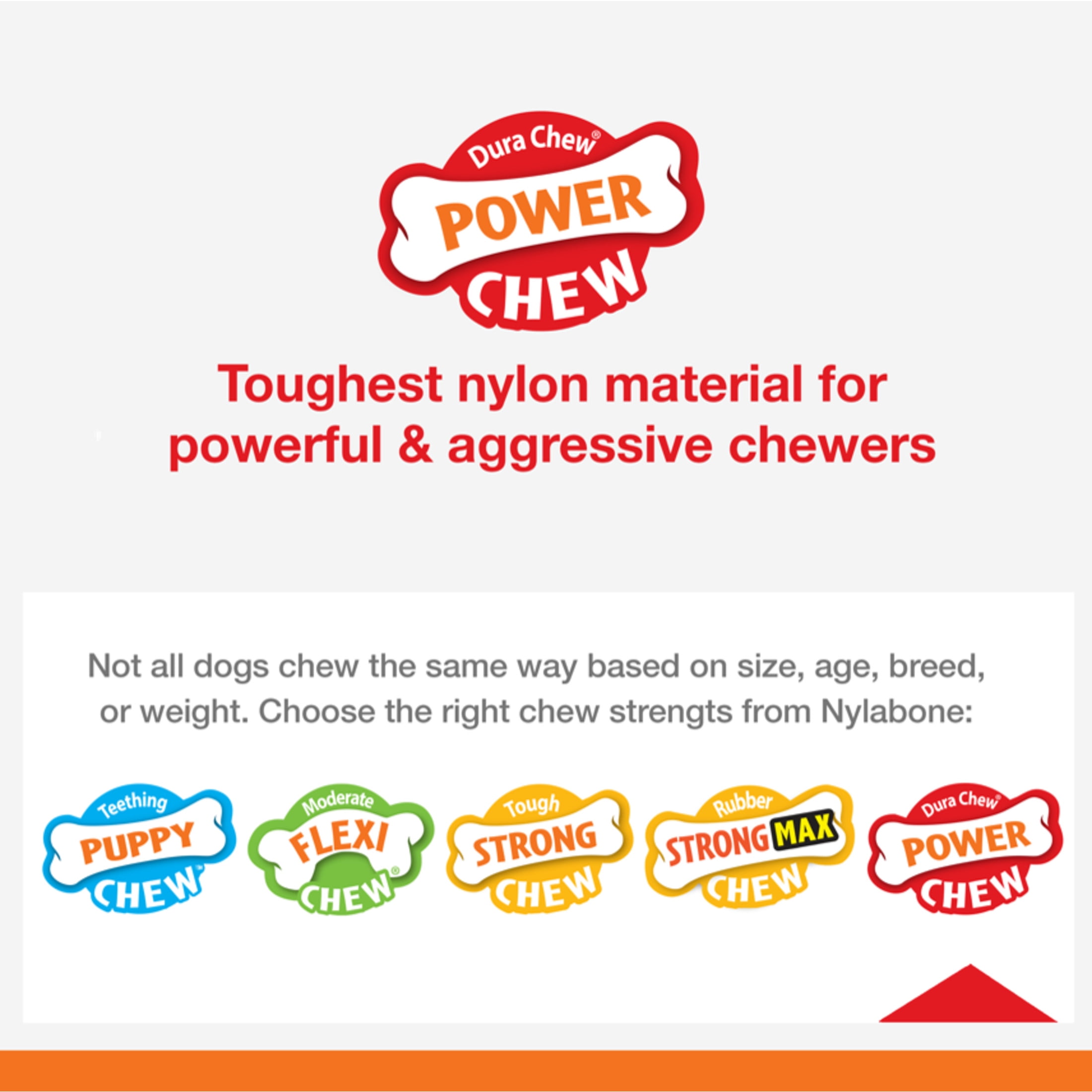 Nylabone Power Chew Action Ridges Chew Toy Bacon X-Large (1 Count)