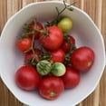 thumbnail image 5 of Plant Good Seed Czech Bush Tomato Seeds - Highly Productive Heirloom Determinate Strain, Certified Organic, Non-GMO, 5 of 5