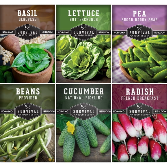 6 Packs Kids Easy Vegetable Garden Seeds - Cucumber Radish Beans Peas Lettuce Basil - Full Sun Annual