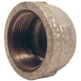 thumbnail image 1 of Pannext Fittings G-CAP20 Galvanized Cap - 2 in., 1 of 1