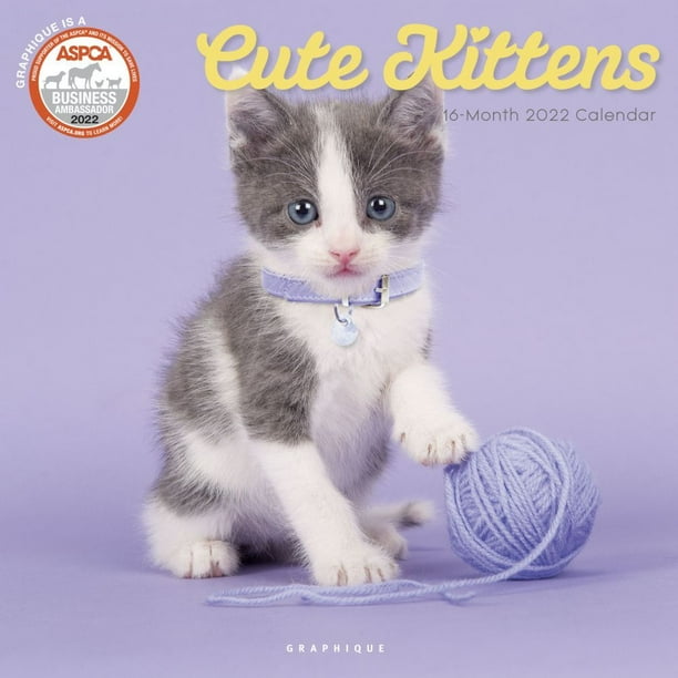 Cute Kittens Aspca 2022 Wall Calendar - Walmart.com