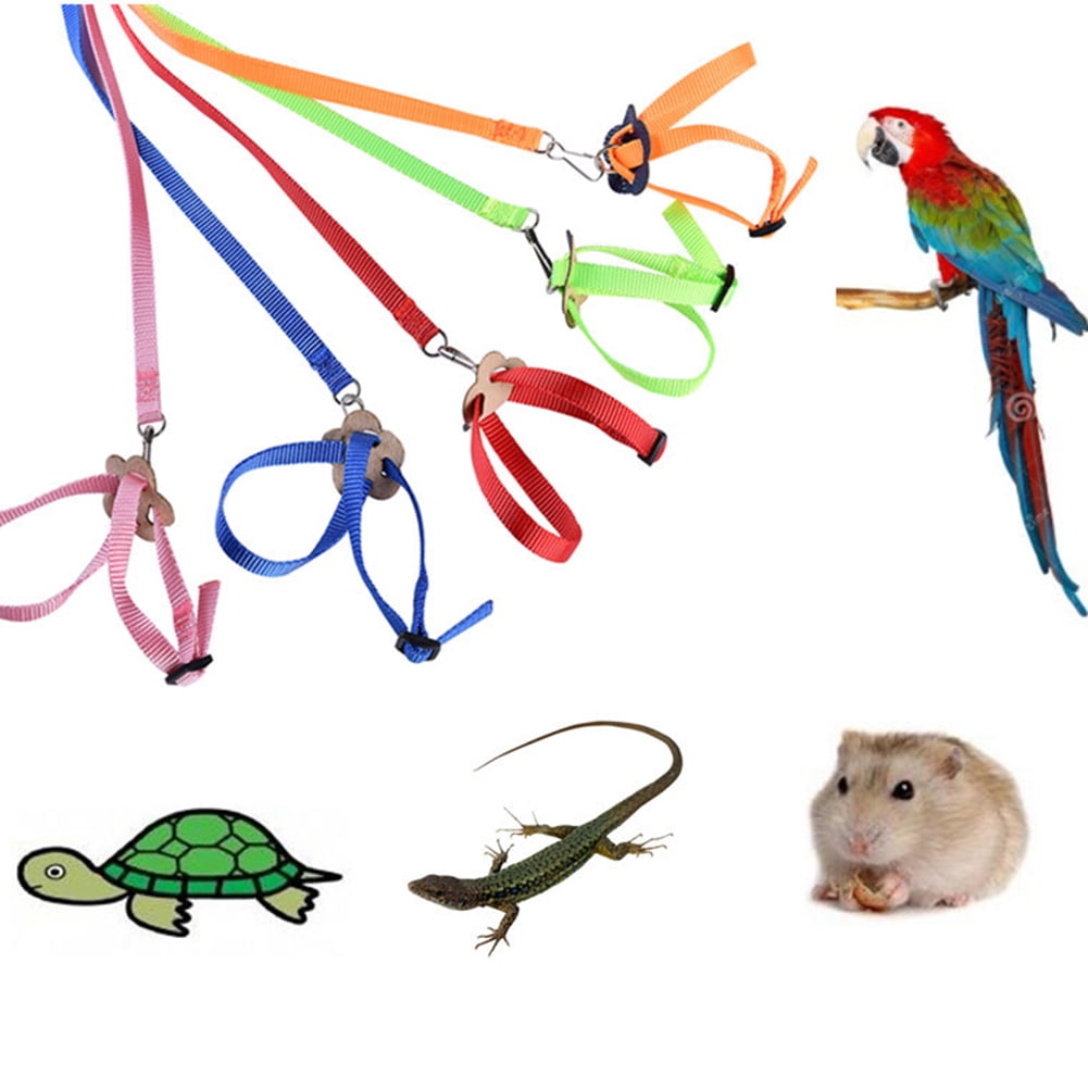 M Zerodis Pet Lizard Reptile Leash Adjustable Cable Lightweight Harness Hauling Leather Traction Rope Animal accessory for Pets Small Animals