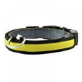 thumbnail image 1 of 2022 Latest Safety LED Dog Collar – USB Rechargeable with Water Resistant Flashing Light Orange, 1 of 6