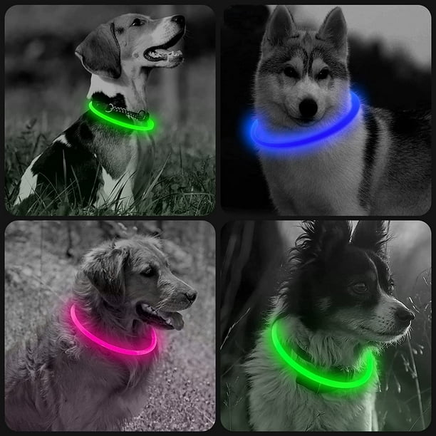 Collier pour chien à LED, colliers lumineux pour chien, lumières