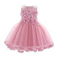 thumbnail image 6 of Povozer Baby Girls Princess Dress Flower Lace Dress Toddler Tulle Sleeveless Dress(Light Pink,3-6M), 6 of 6