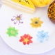 thumbnail image 2 of FELTECHELECTR 120 flores comestibles de papel de arroz, oblea, adornos coloridos para cupcakes, postres, decoración de pasteles (10 colores), 2 of 7