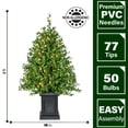 thumbnail image 4 of Fraser Hill Farm 2-Ft. Boxwood Porch Tree in Black Pot with Warm White Lights, Set of 2, FFBXPT024-5GR1/S2, 4 of 9