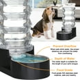 thumbnail image 6 of RIZZARI Black 8L Automatic Pet Waterer - Gravity-fed Stainless Steel Water Dispenser, 100% BPA Free, Leak-proof, Odorless, Easy to clean,  Large Capacity Feeder for Cats and Dogs, 6 of 7