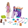 Barbie Team Stacie Puppies Doll Playset, 17 Pieces