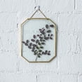 thumbnail image 2 of Marco flotante NCYP para flores secas prensadas 20,5 x 25,5 cm, 2 of 6