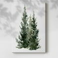 thumbnail image 2 of Simple Evergreens I- Gallery Wrapped Canvas, 2 of 9