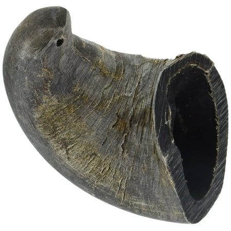 - QT Dog, Buffalo Horn, Small