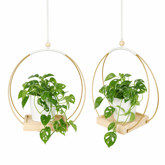 Nordwen 2-Pack Hanging Plant Stand for Indoor Plants, Boho Hanging Plant Holder with Gold Ring & Wood Base, Balcony Plant Stand for Wall Window Decor, Bedroom, Living Room