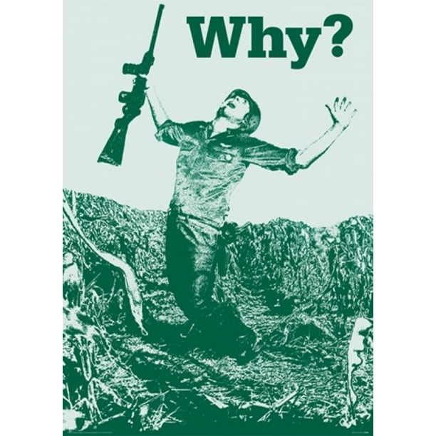 Why Soldier Poster Poster Print