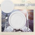 thumbnail image 3 of Ambesonne Cat Place Mats Set of 4, Space Satellite Eclipse, Standard Size, Blue Grey and White, 3 of 6