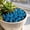 Dark Blue E, variant on Gallickan Luminous Sea Figurines, Glow in The Dark Seashell Starfish Stones, Fish Tank Aquarium Garden Vase Fillers, Beach Theme Party Decoration, Dark Blue 50pc
