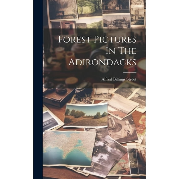 Forest Pictures In The Adirondacks (Hardcover)